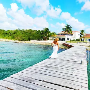 The Queen Of House -luxury Beachfront Villa- Million Dollars View Holiday home Cozumel